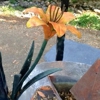 Harbin Hot Springs Retreat Center gallery