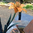 Harbin Hot Springs Retreat Center - Parks