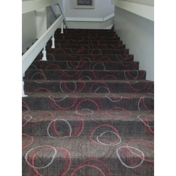 Gallery Image Number 5