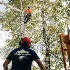Northwest Tree Care
