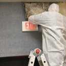 Blueline Disaster Solutions Inc - Mold Remediation