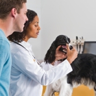 Banfield Pet Hospital - CLOSED