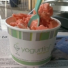 Yogurtini gallery