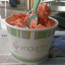 Yogurtini - Yogurt