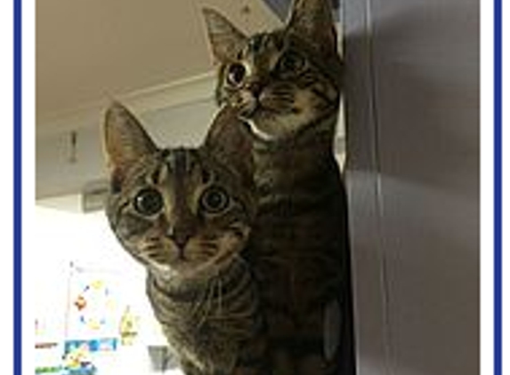 Laverton Veterinary Clinic