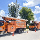 Sam's Tree Service Inc - Tree Service