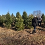 Western's Tree Farm