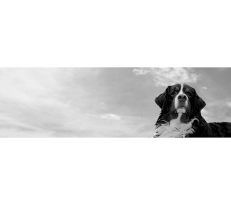 Pets At Peace Canberra & Districts - Macarthur, ACT