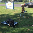 KC Dawgz Dog Training Academy - Pet Training