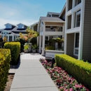 Larkspur Courts - Apartments