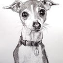 Animal Art and Pet Portraits by Stephanie Grimes - Fine Art Artists