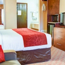 Comfort Inn - Motels
