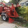 Tree Service Minneapolis