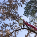 Kelley Tree Service - Tree Service