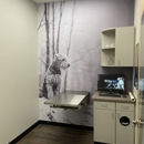 CityVet | Las Colinas - Pet Services