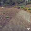 SAFE Roof Cleaning Moss Removal gallery