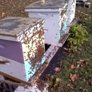 Home of the Honey Bee & Maple Tree - Beekeeping & Supplies
