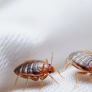 Country Pest Control - Pest Control Equipment & Supplies