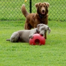 Route 66 Dog Ranch - Ranches