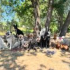 Pack Family