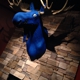 Blue Moose