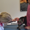 CityVet Veterinary Clinic & Urgent Care gallery