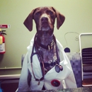 Pismo Beach Veterinary Clinic - Pet Services