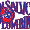 DiSalvo Plumbing gallery