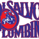 DiSalvo Plumbing - Plumbers