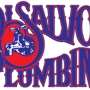 DiSalvo Plumbing