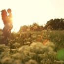 Denver Fertility Care