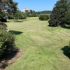 Liqui-Chem Lawn & Shrub Care gallery