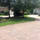All Turf - Landscaping & Lawn Services