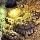 The Reptile Zoo - Places Of Interest