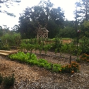 Chastain Park Conservancy - Playgrounds