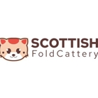 Scottish Fold Kitten Cattery