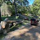 Holland Tree Services - Arborists