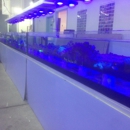 Aquarium Tropical Fis - Public Aquariums