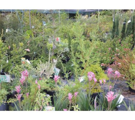 Rapleys Landscape Supplies & Nursery - Lake Albert, NSW
