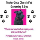 Tucker Cuts Grooming