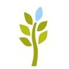 Wellness Solutions Chiropractic gallery