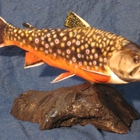 Fish Art Taxidermy