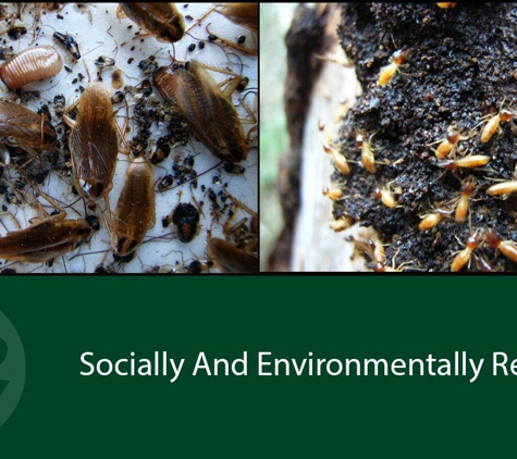 Systems Pest Management Pty Ltd - Thornleigh, NSW. Socially And Environmentally Responsible