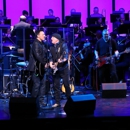 The Desert Symphony