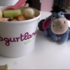 YogurtLand gallery