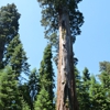 Aldo's Arbor gallery