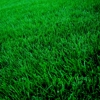 Davis Mowing LLC gallery