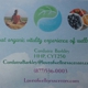 Lightfoot Organic Vitality Experience of Wellness Center