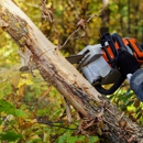 Chop Chop Tree - Tree Service