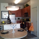 Dwell Luxury Apartment - Apartment Finder & Rental Service
